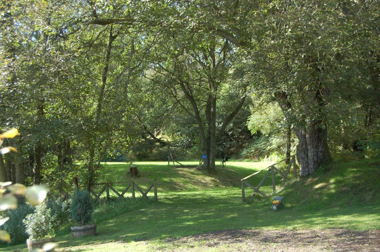 Woodland Gean * Killin