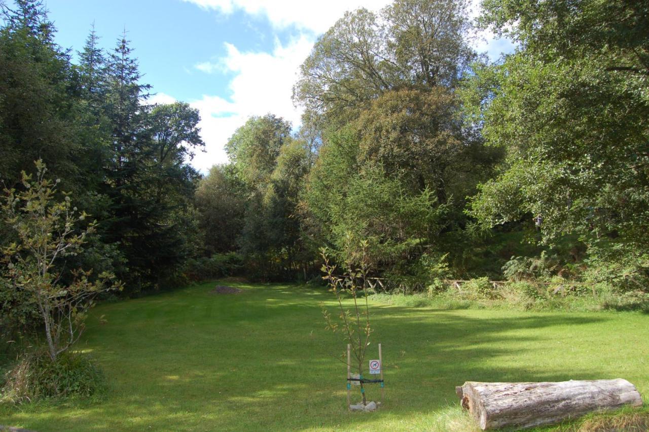 Woodland Gean Killin