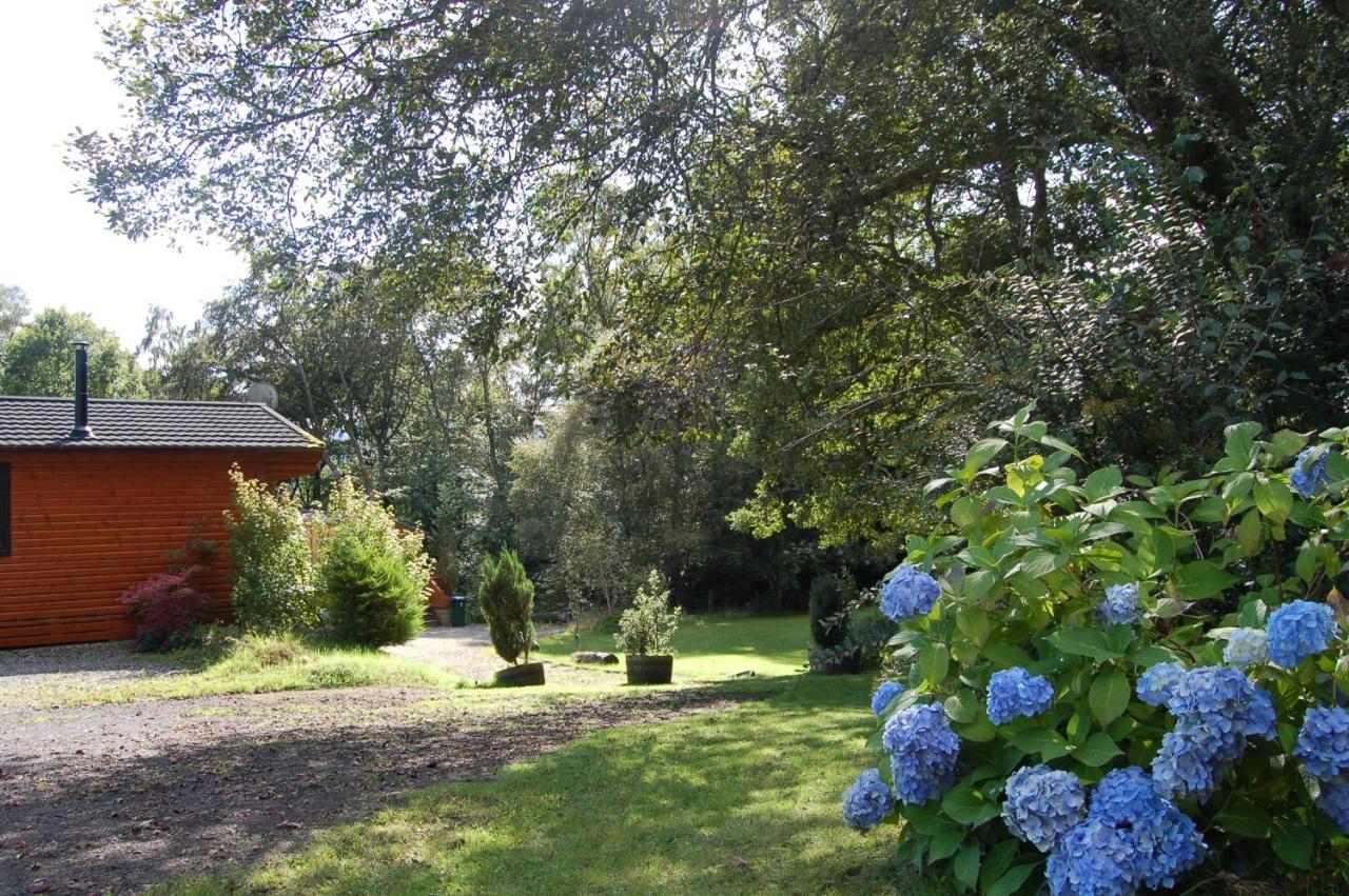 Lodge Woodland Gean *