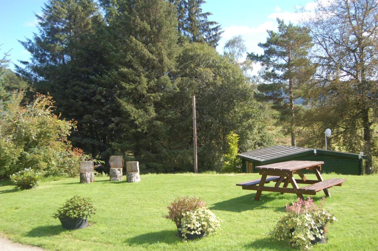 Lodge Woodland Gean *