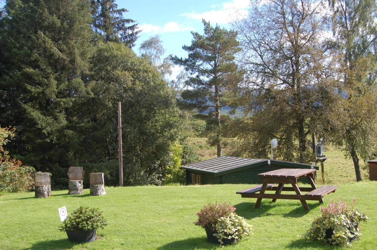 Lodge Woodland Gean *